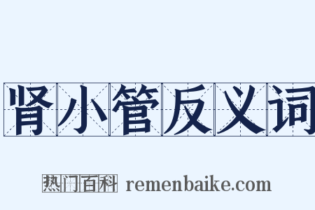 肾小管反义词是什么意思的图片